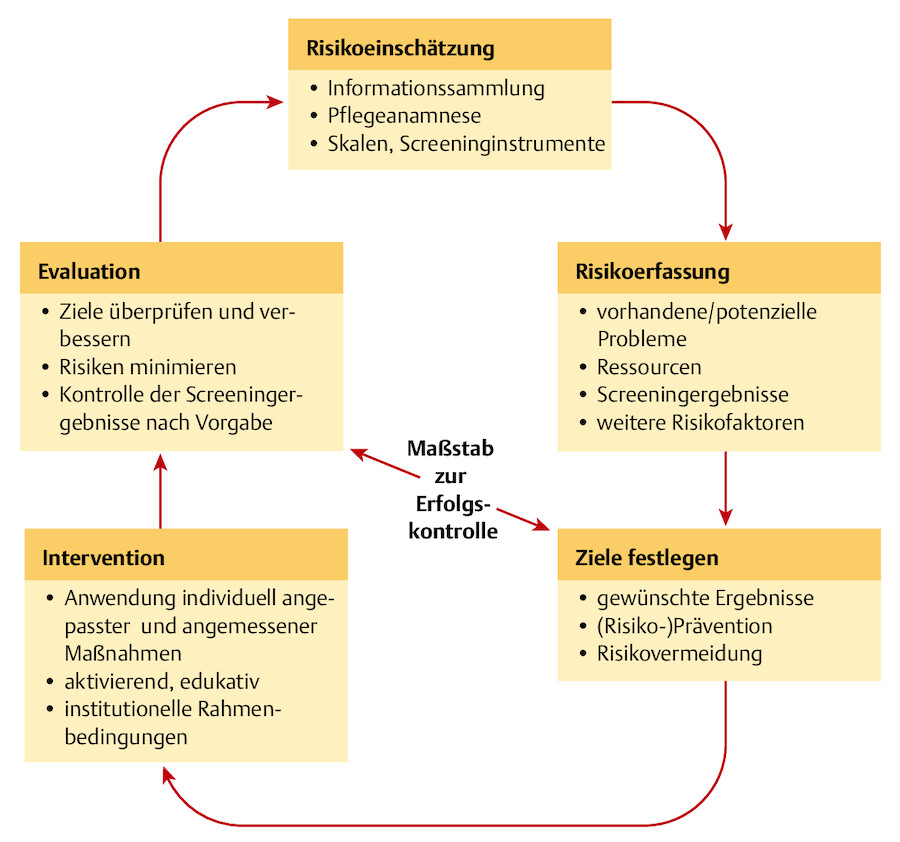 Pflegerisches Risikomanagement.