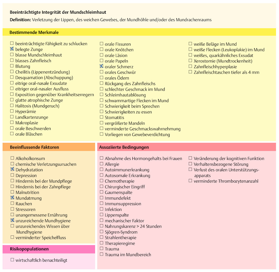 Aktuelle NANDA-I-Pflegediagnose von Frau M. (nach NANDA-I-2018-2020).