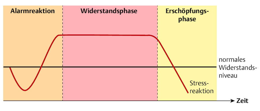 Stress als Reaktion.