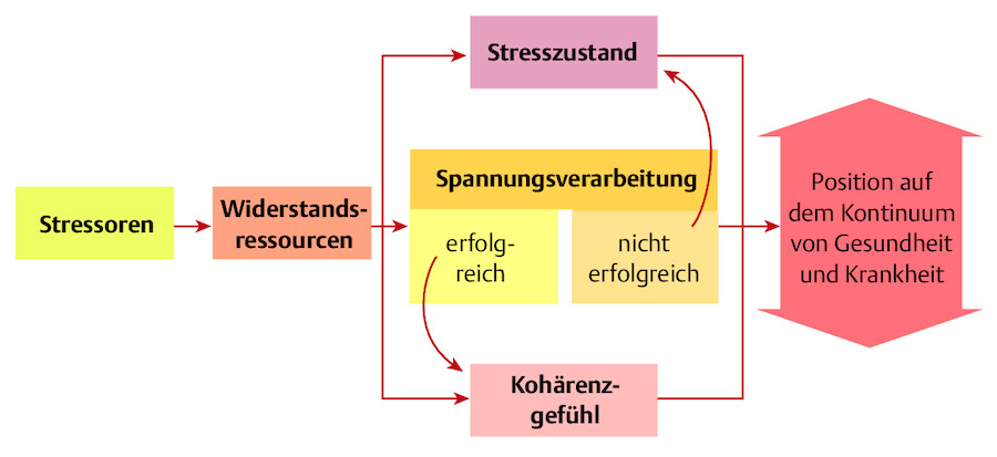 Das Salutogenese-Modell nach Antonovsky (in Anlehnung an Hurrelmann 2006).