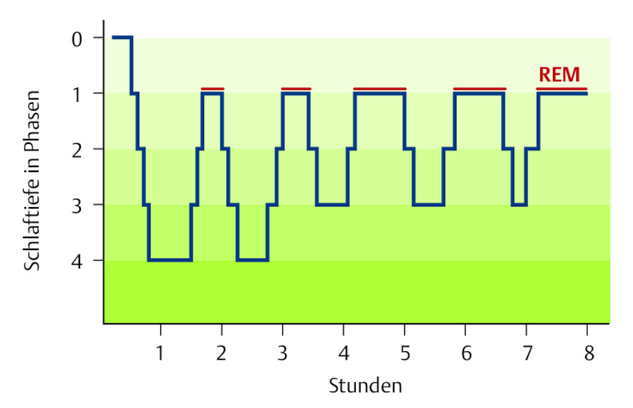 Schlafphasen.