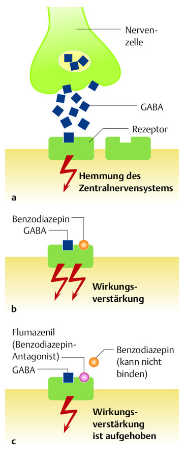 Die Benzodiazepine wirken über die Hemmung des ZNS.