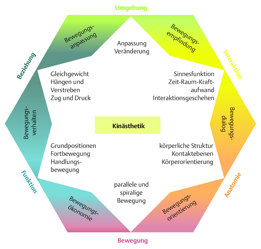 Lernbereiche der Kinästhetik.