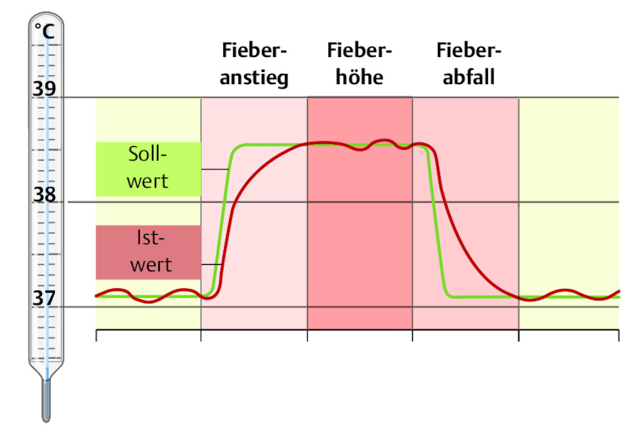 Fieberverlauf.