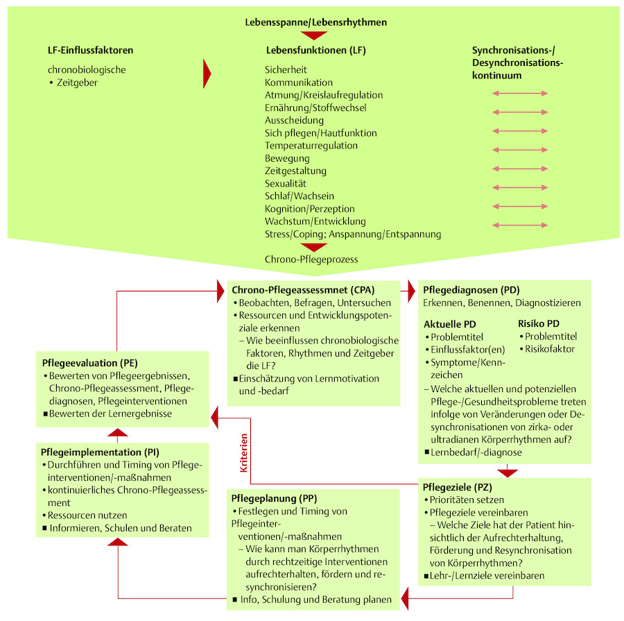 Chrono-Pflegemodell und Chrono-Pflegeprozess (nach Georg 2001, 2008).