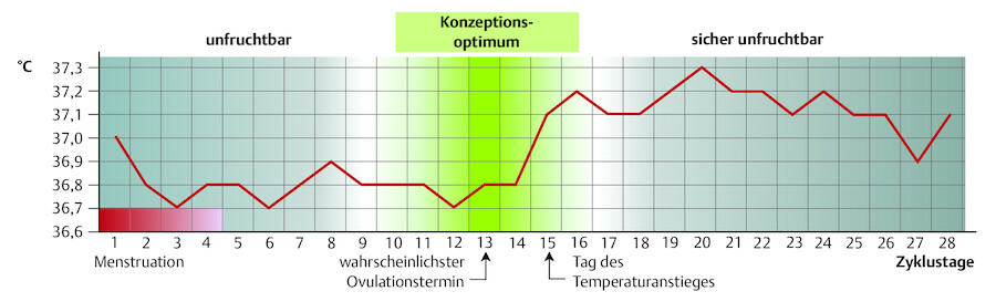 Basaltemperaturkurve bei einem physiologischen Menstruationszyklus.