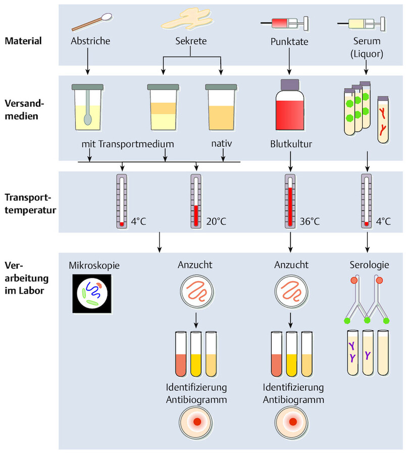 Überblick über mikrobiologische Untersuchungsmaterialien und ihre Verarbeitung im Labor (Miksitis u. Hahn 2004).