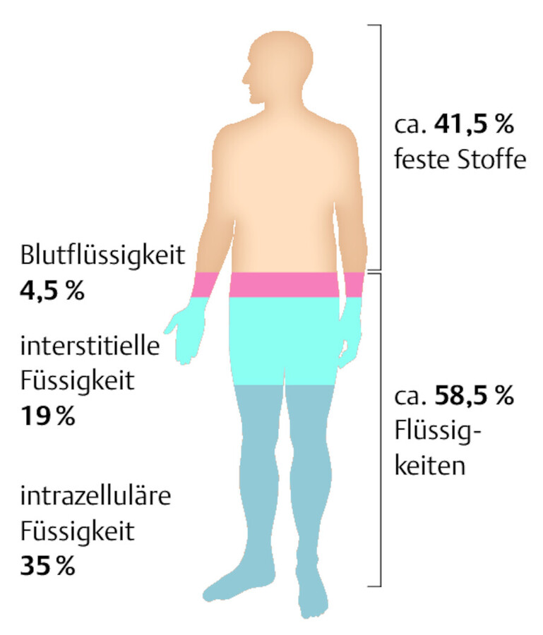 Flüssigkeitsverteilung im Körper.