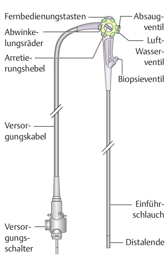 Aufbau eines Endoskops.