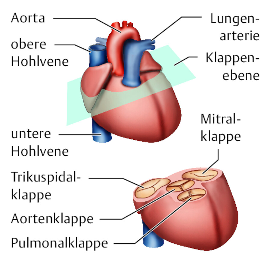 Aufbau.