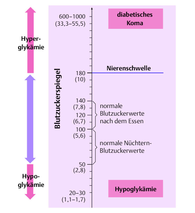 Blutzuckerspiegel.