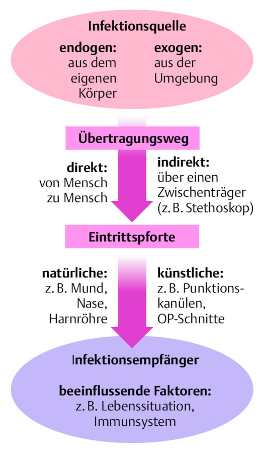 Infektionskette.