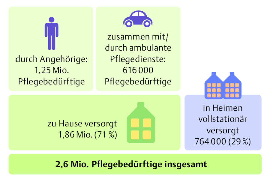 Pflegestatistik 2013.