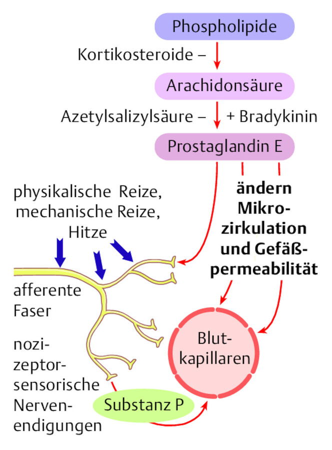 Physiologische Reaktion bei Schmerzen.