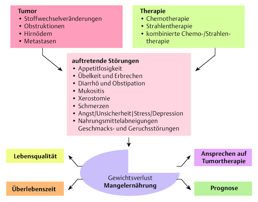 Auswirkungen von Gewichtsverlust und Mangelernährung.