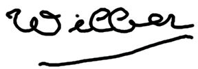 A signature made with the Brush tool