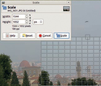 Resizing a layer with the Scale tool