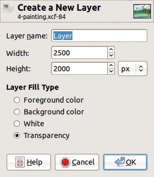 The Create a New Layer dialog