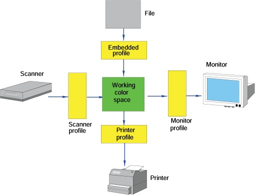 A color-managed workflow