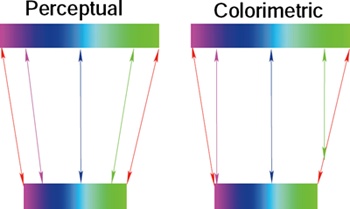 Perceptual and colorimetric gamut mappings