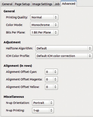 The Print dialog, Advanced tab