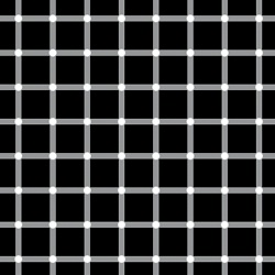 The scintillating grid illusion