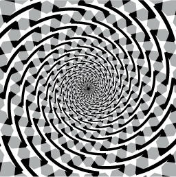 Fraser’s spiral: another distorting illusion