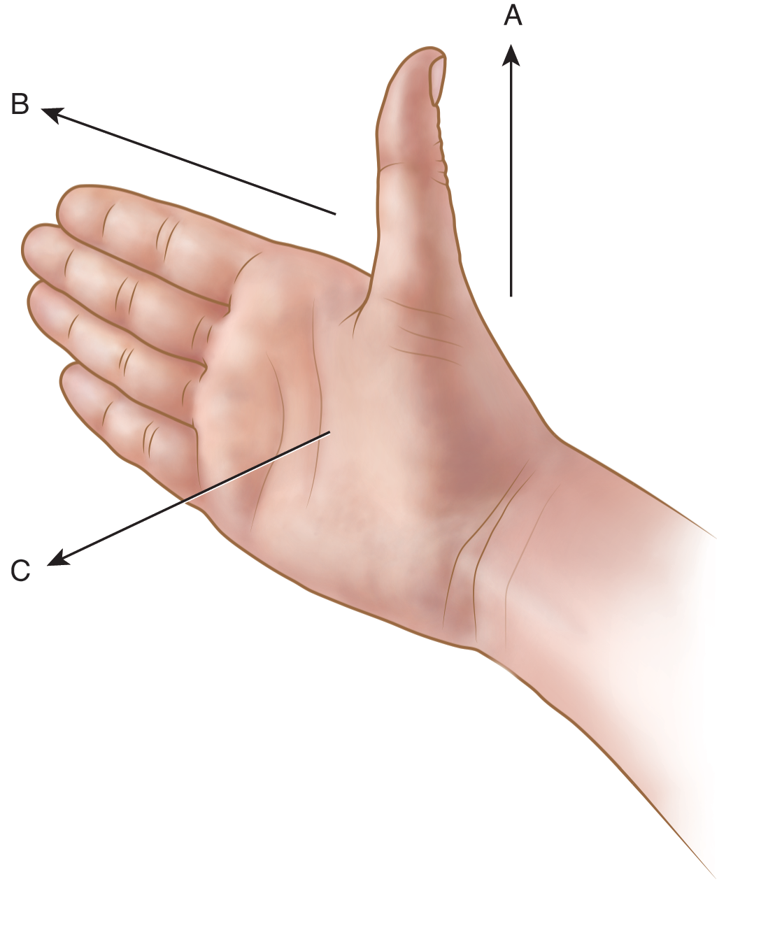 right hand with thumb pointing up and fingers pointing into the page. Vector A parallel with thumb, vector B parallel with fingers, and vector C perpendicular to the palm.