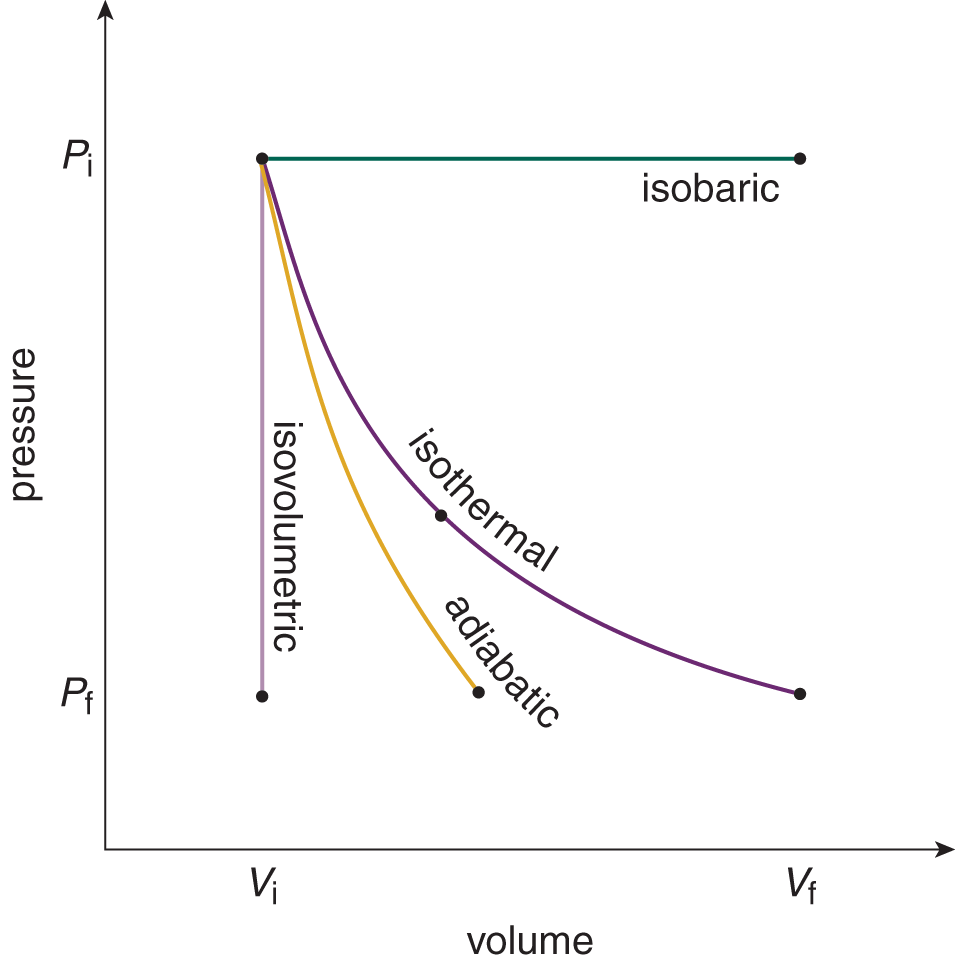 P-V graph; isobaric is horizontal line, isovolumetric is vertical line; isothermal and adiabatic have negative slope with upward curvature and isothermal is above adiabatic