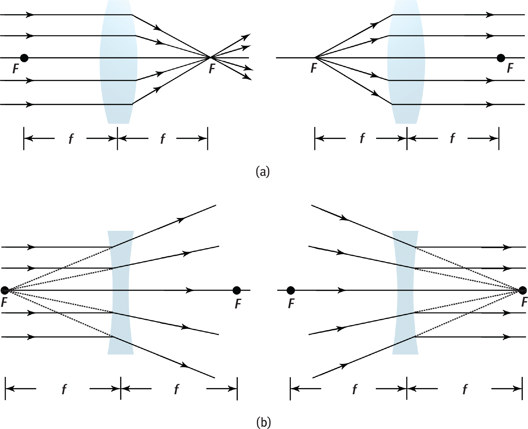 (a) convex lens causing parallel light rays to refract to second focal point or light from first focal point to be refracted as parallel light rays; (b) concave lens causing parallel light rays to refract from first focal point or light traveling toward second focal point to be refracted as parallel light rays