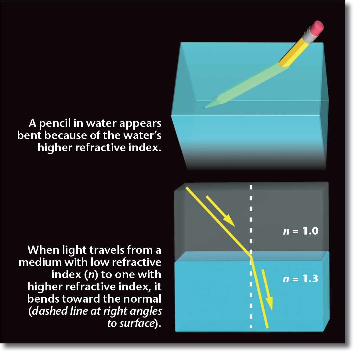 a pencil in water appears bent because of the water's higher refractive index; when light travels from a medium with low refractive index to one with higher refractive index, it bends toward the nornal