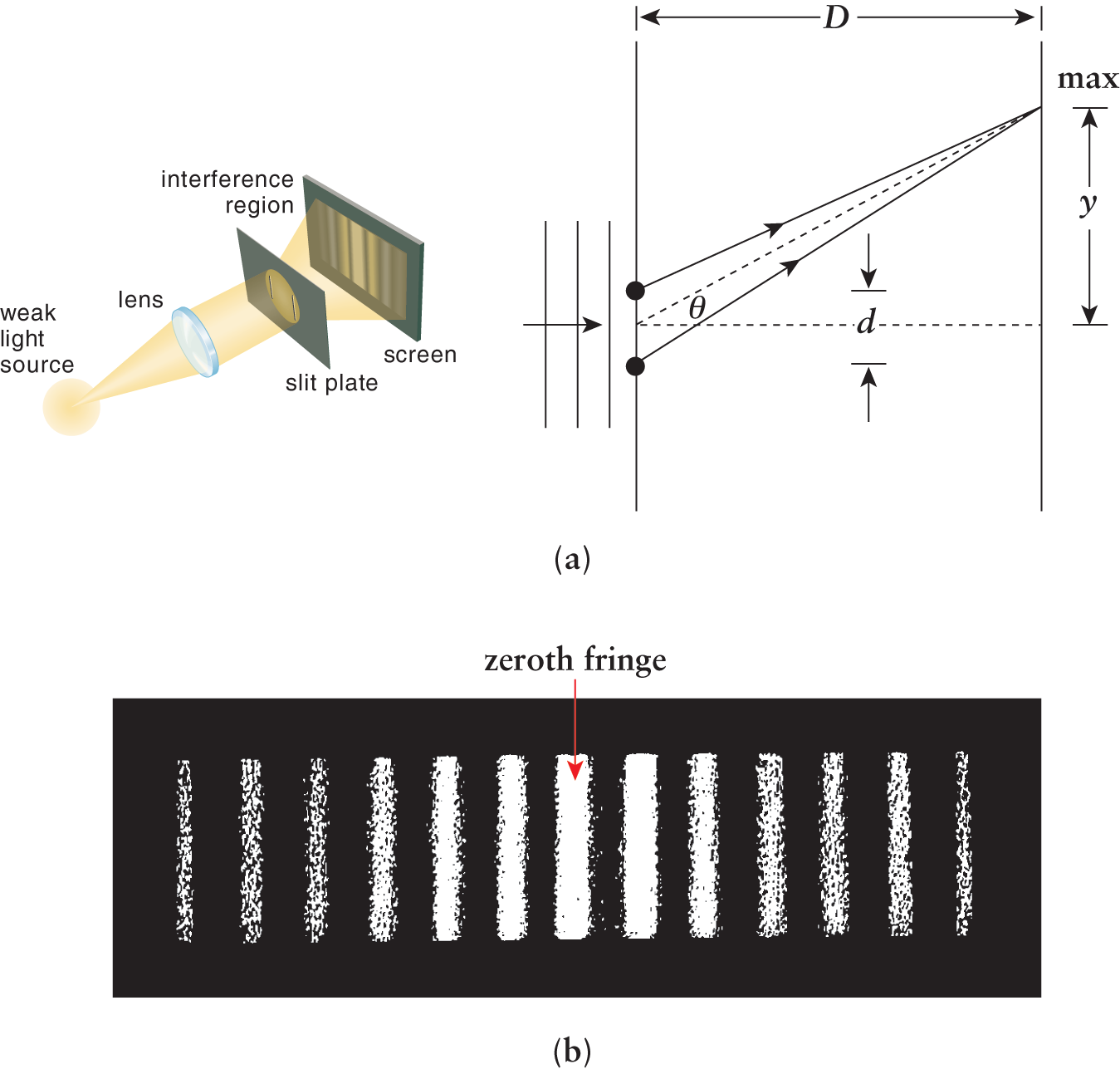 light passing through lens and double slits separated by distance d, forming alternating bright and dark fringes; screen is distance D from slits; first bright fringe at angle theta and distance y from axis