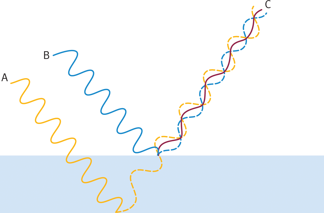 two waves bouncing off internal and external surfaces of film, respectively, and partially constructively interfering