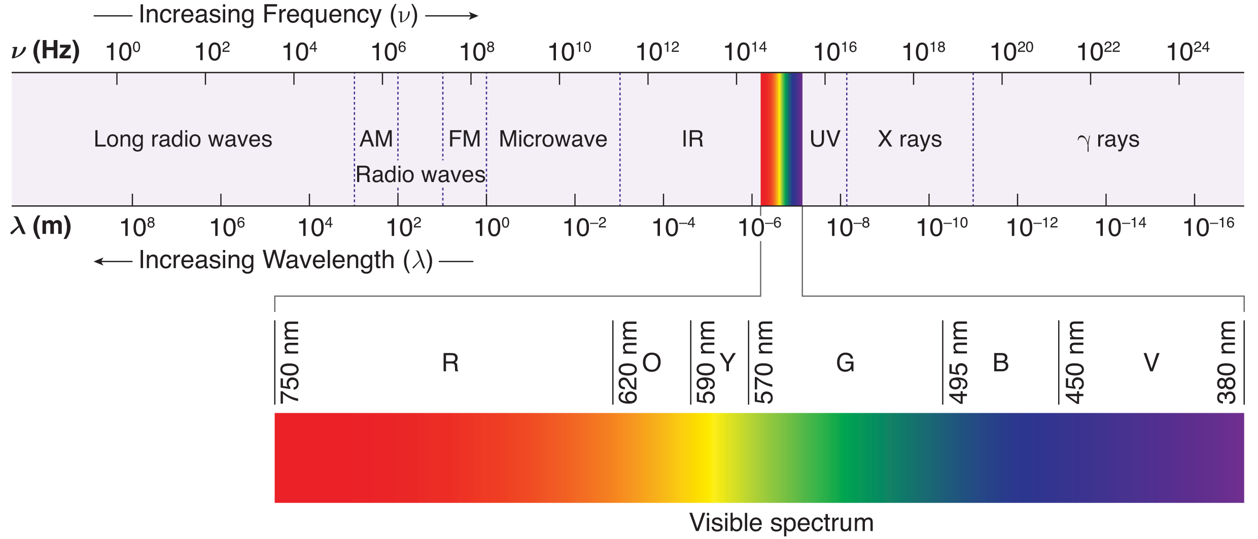 from highest frequency (lowest wavelength): gamma rays, x rays, UV, visible light (violet, blue, green, yellow, orange, red), infrared, microwave, FM and AM radio, long radio waves