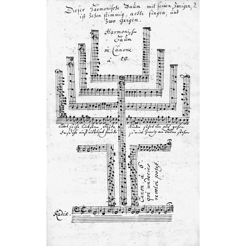 L’Harmonischer Baum, un canone a dieci voci a forma di albero, dal trattato Musikalisches Kunst-Buch di Johann Theile (1646-1724), che i suoi contemporanei chiamavano «il padre dei contrappuntisti».