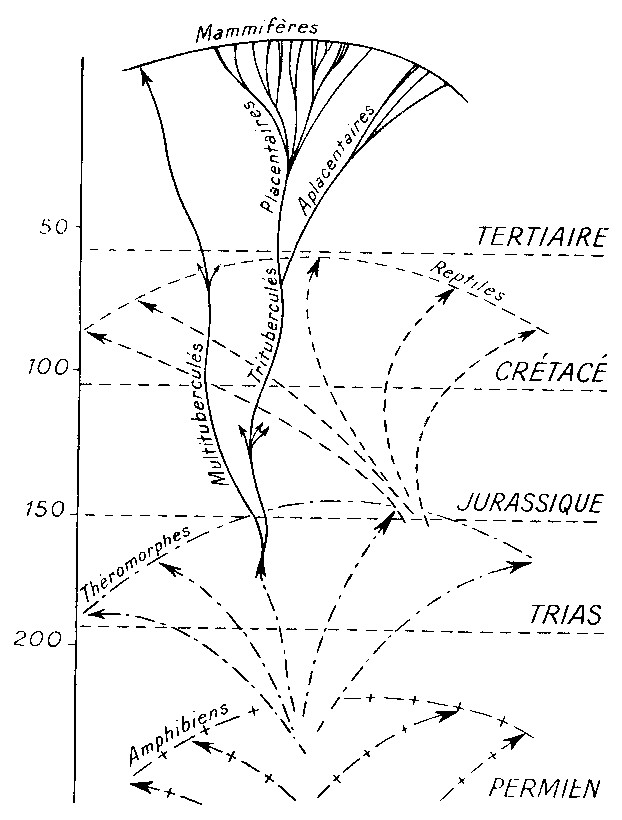 img1.jpg