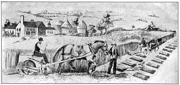 Hussey's Side-Delivery Reaper As Used in England. (From An Old Print)