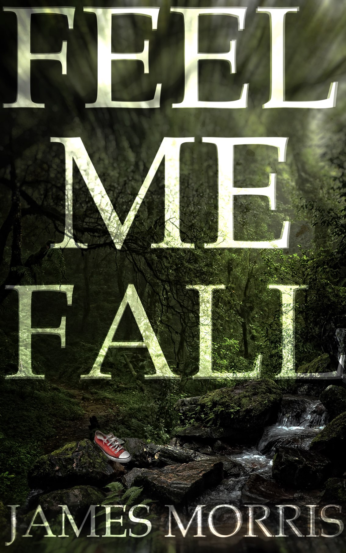 The suspense young adult novel Feel Me Fall.