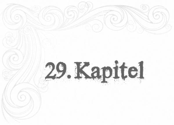 29. Kapitel