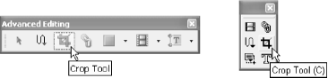 The Crop tool on the Advanced Editing toolbar in Acrobat 6 (left) and on the Editing toolbar in Acrobat 5 (right)