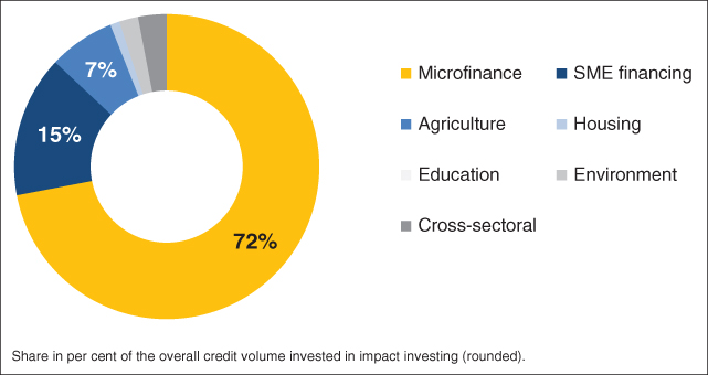 Pie chart showing Topics Impact Investing.