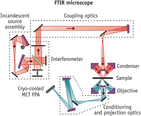 A315208_1_En_4_Fig2_HTML.gif