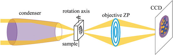 A315208_1_En_5_Fig1_HTML.jpg