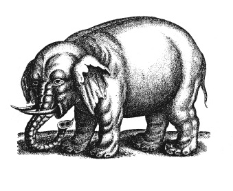 olifant%201.jpg