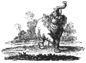 olifant%203.jpg