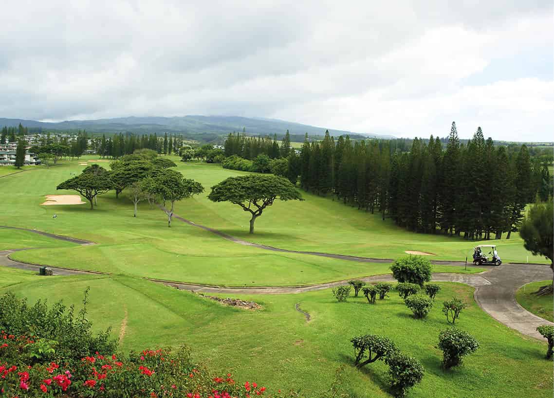 _MG_5090_Hawaii_EC.jpg