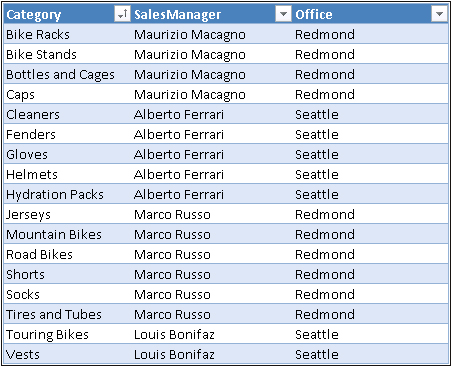 The SalesManager Excel table will prove useful to show performance of managers instead of categories.