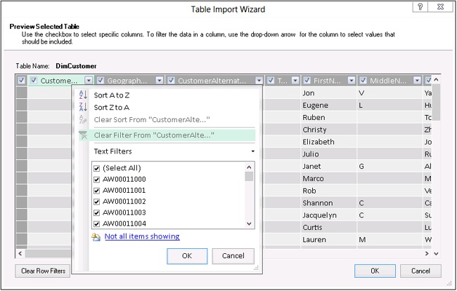 Here, you can see the data filtering for text columns.