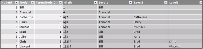 The Level columns contain the values to show in the hierarchy.