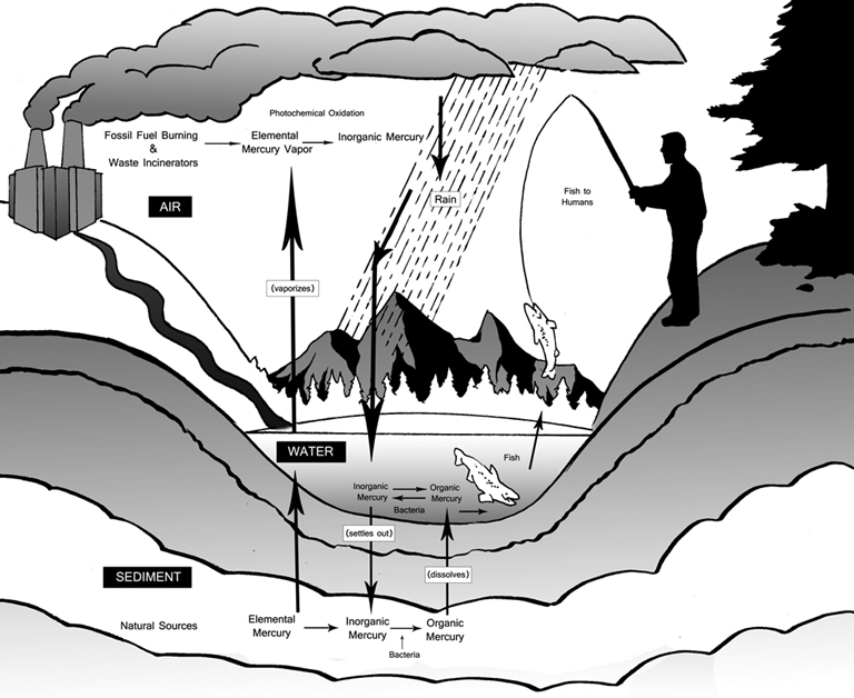 9-mercury-bigdiagram.jpg